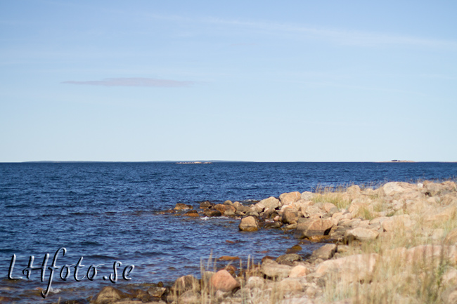 Havet
