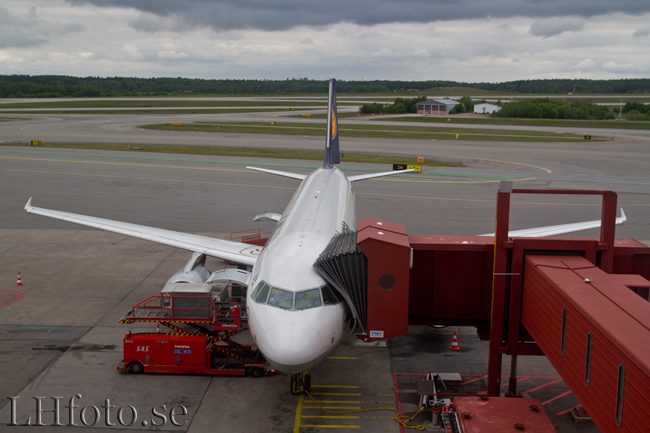 Lufthansa, Airbus A320-200, D-AIZF