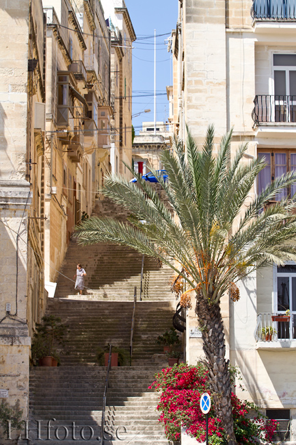 Harbour Cruise, Malta